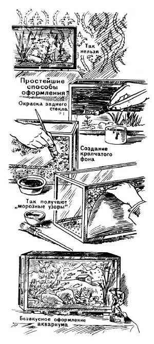 Оформление задней стенки аквариума